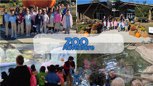  Mackenzie Zoo Adventures 